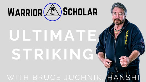 Ultimate Striking Concepts - 16 DVD's