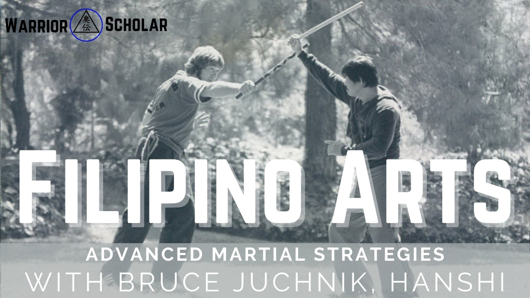Advanced Filipino Martial Strategies Bundle 19 DVD's