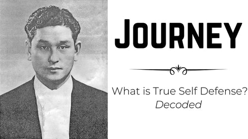 Journey Series - What is True Self Defense: Decoded 20 DVD's