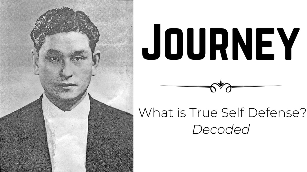 Journey Series - What is True Self Defense: Decoded 20 DVD's